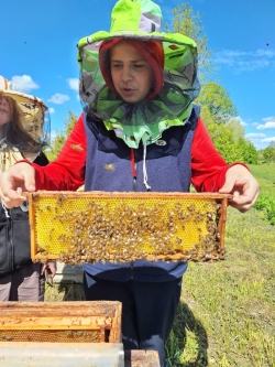 Preiļu 2. vidusskolas 6. klases skolēns tur rokās bišu vaska šūnas