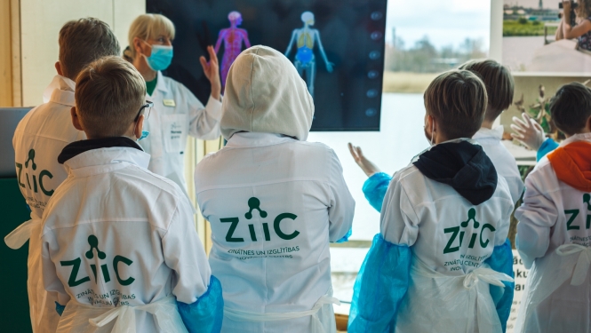 ZIIC