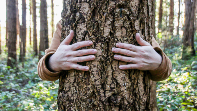 Kursi vides izglitibas pedagogiem