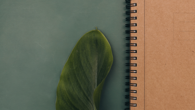 Ilustratīvs attēls