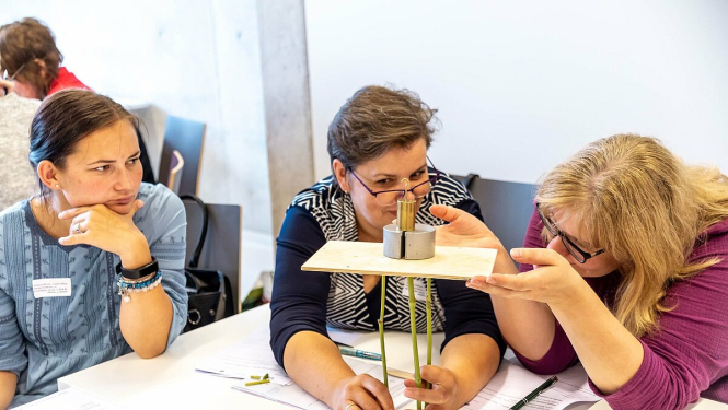 csm_Pamatskola_-_dabaszinatnes