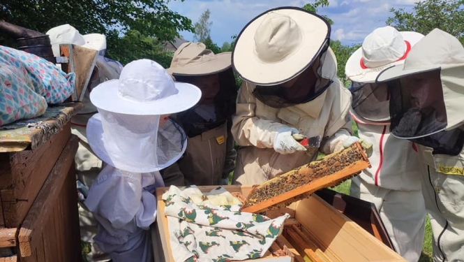 "Bišu draugs" Grundzāles pamatskolas skolēni pēta bišu stropu
