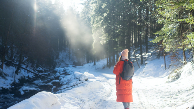 Gudrā duša un stirlinga dzinējs datu centros