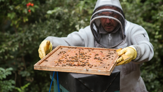 Ilustratīvs attēls