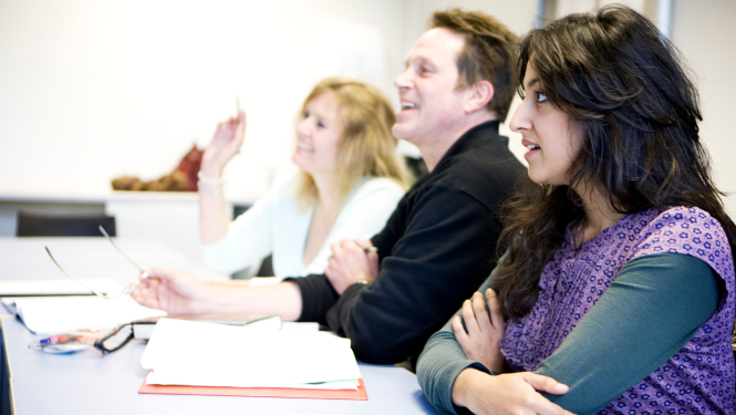 LU profesionālā pilnveide