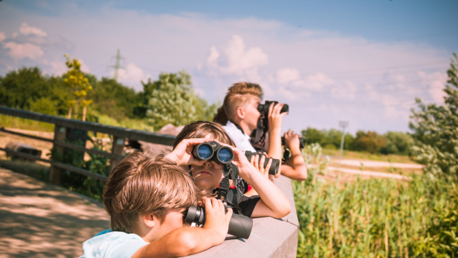 Ilustratīvs attēls