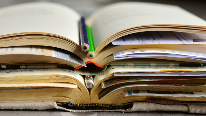 Augstākajā izglītībā studējošo kompetenču novērtējums un to attīstības dinamika studiju periodā