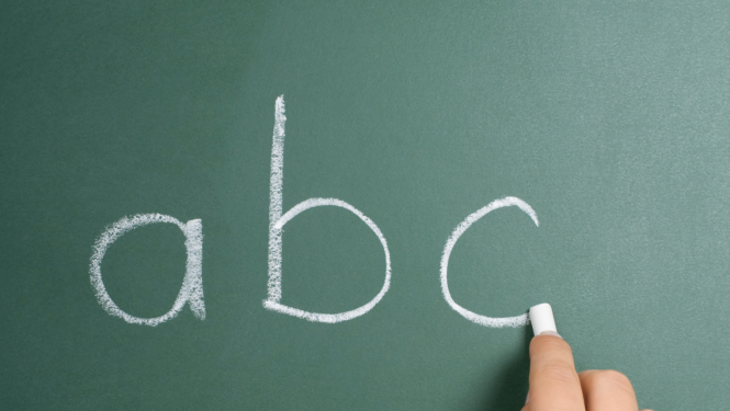 Profesionālās pilnveides kursi