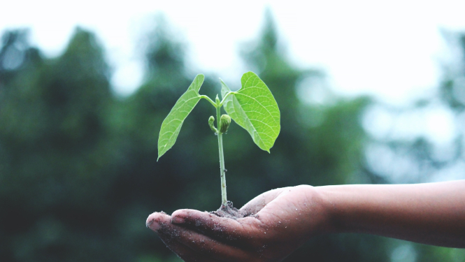 Sminārs ekonomikas skolotājiem