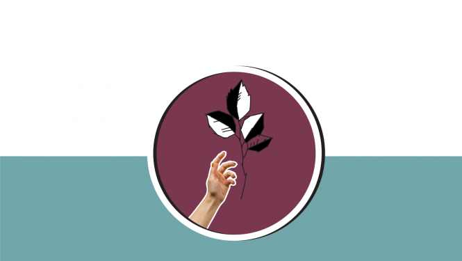 Kultūras kanona konkurss