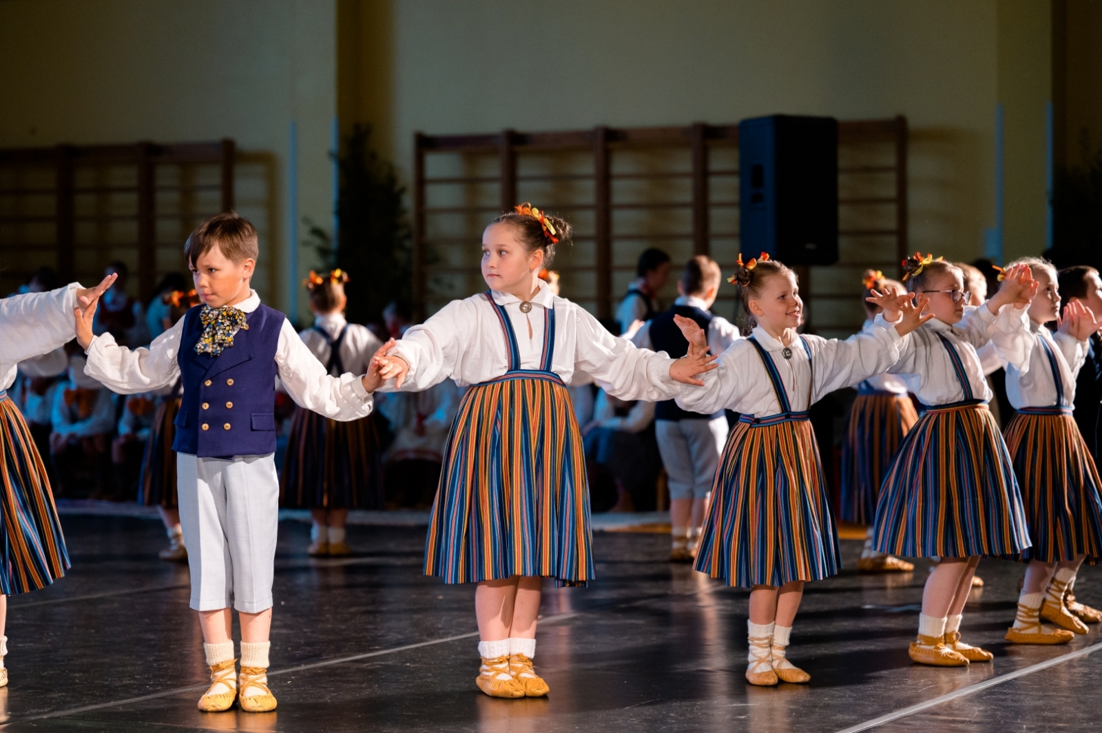 Limbažu novada bērnu un jauniešu deju kolektīvu sadancis – “Uz tirgu”