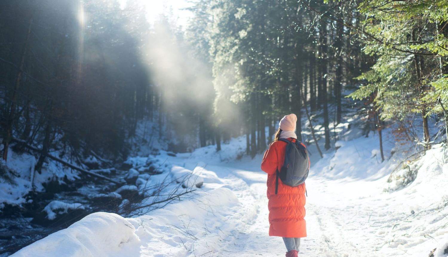 Gudrā duša un stirlinga dzinējs datu centros