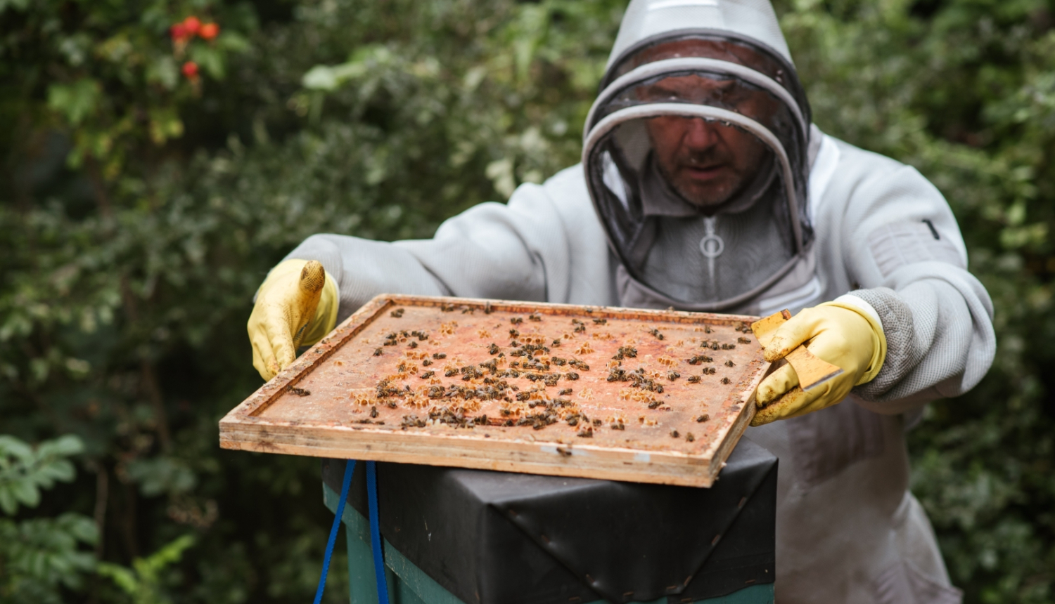 Ilustratīvs attēls