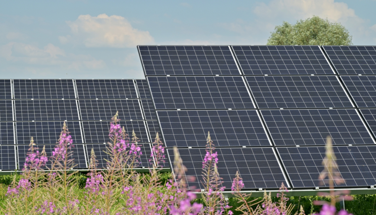 Ilustratīvs attēls