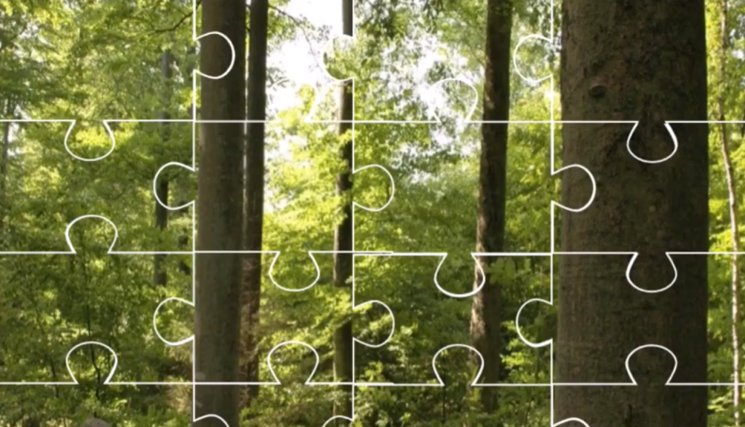 Ilustratīvs attēls