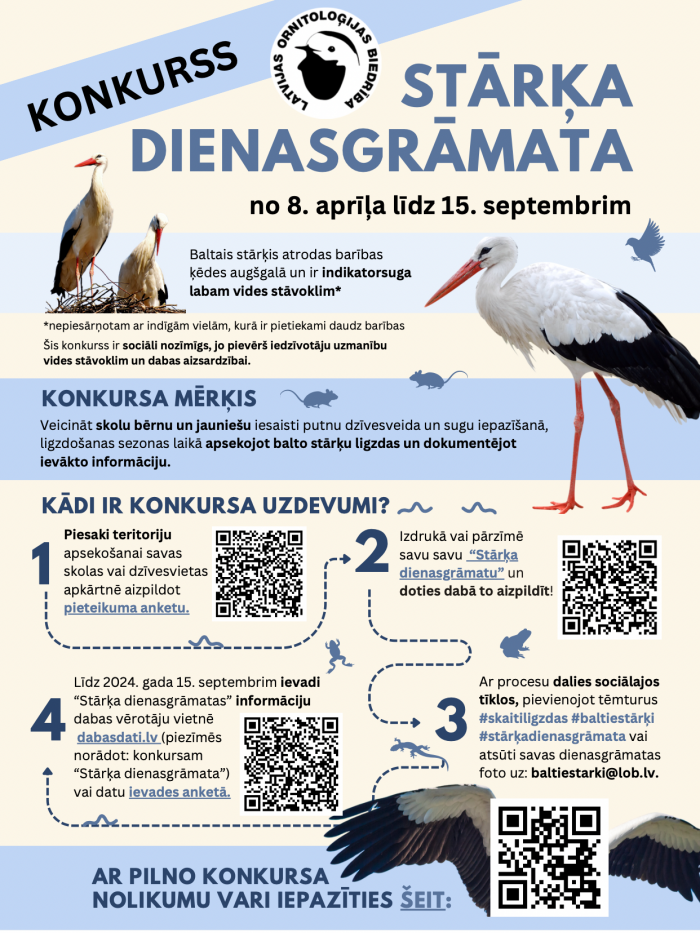 Stārķa dienasgrāmata. Infografika.